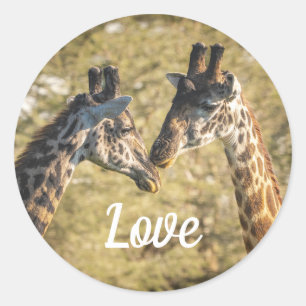 Redonda Giraffs in Love Pegatina