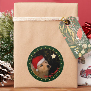 Redonda Golden Retriever Puppy con Pegatina de Santa Hat