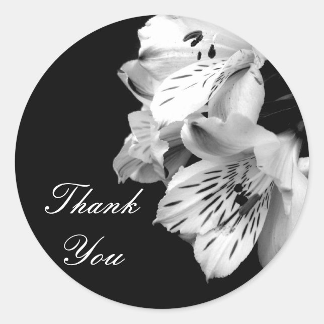 Redonda Gracias Alstroemeria Lily Pegatina (Anverso)