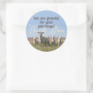 Redonda Gracias, Sheep Yarn Fiber Business Pegatina