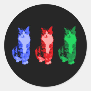 Redonda Grumpy Cat Pop Pegatina