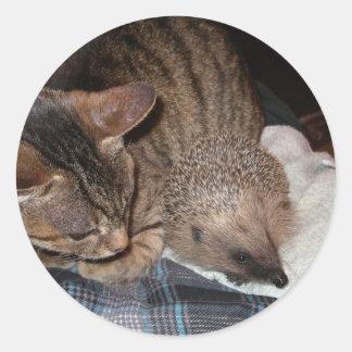 Redonda Harold el pegatina del erizo