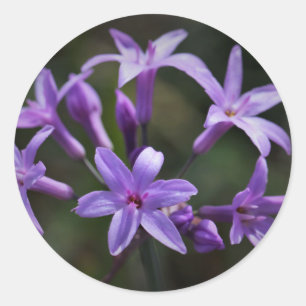 Redonda Hermoso Pegatina de Flores Azul Morado