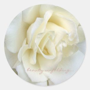 Redonda Hermoso pegatina pequeño de rosa blanca