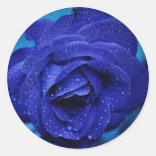 Redonda Hermoso Rosa azul Pegatina