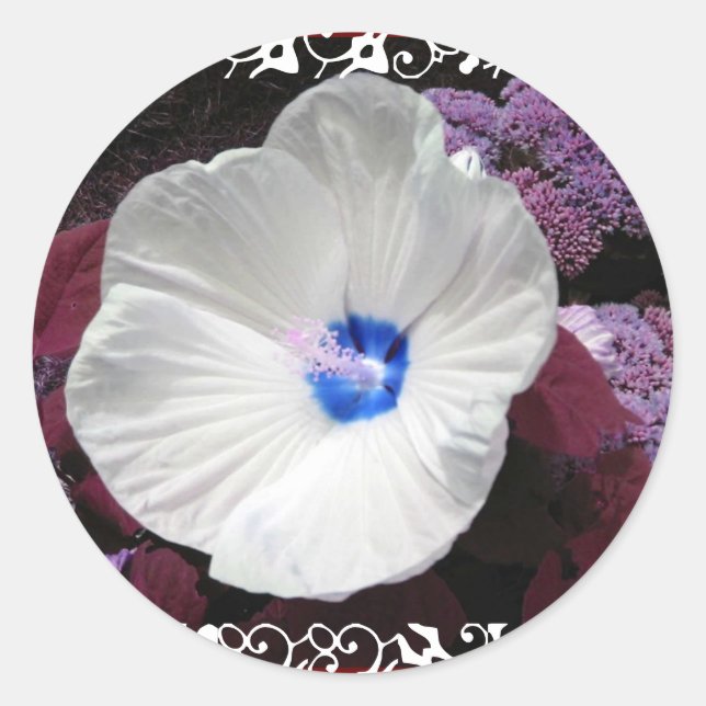Redonda Hibiscus Blue - Pegatina Boda de encaje blanco (Anverso)