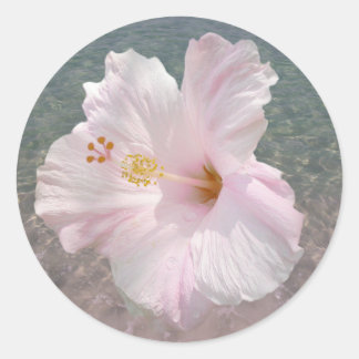 Redonda Hibiscus rosado y Pegatina de Agua Oceánica