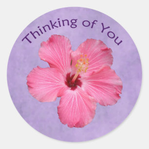 Redonda Hibiscus Thinking of You pegatina