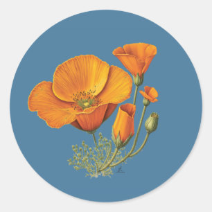 Redonda Hoja de Pegatina de cosechas de flores de amapola 