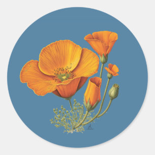 Redonda Hoja de Pegatina de cosechas de flores de amapola 