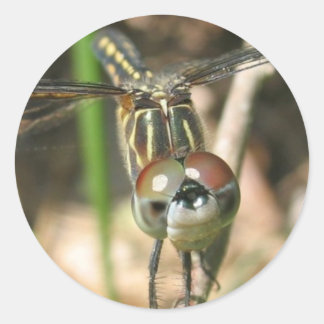 Redonda Hoja Pegatina "Sonrisa de libélula"