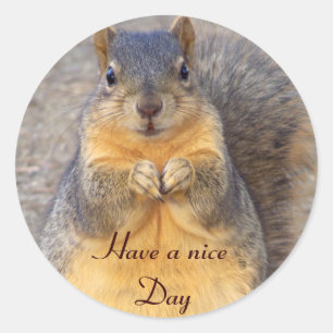 Redonda Hola, Hola_ Pegatina