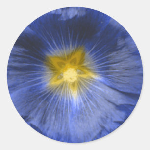 Redonda Hollyhock Flor Hermosa Pegatina Azul