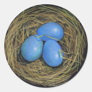 REDONDA HUEVOS DE AVES EN EL NIDO: ARTE REALISTA: PEGATINA