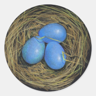 REDONDA HUEVOS DE AVES EN EL NIDO: ARTE REALISTA: PEGATINA