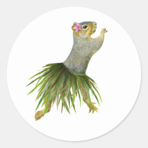 Redonda Hula Squirrel Pegatina