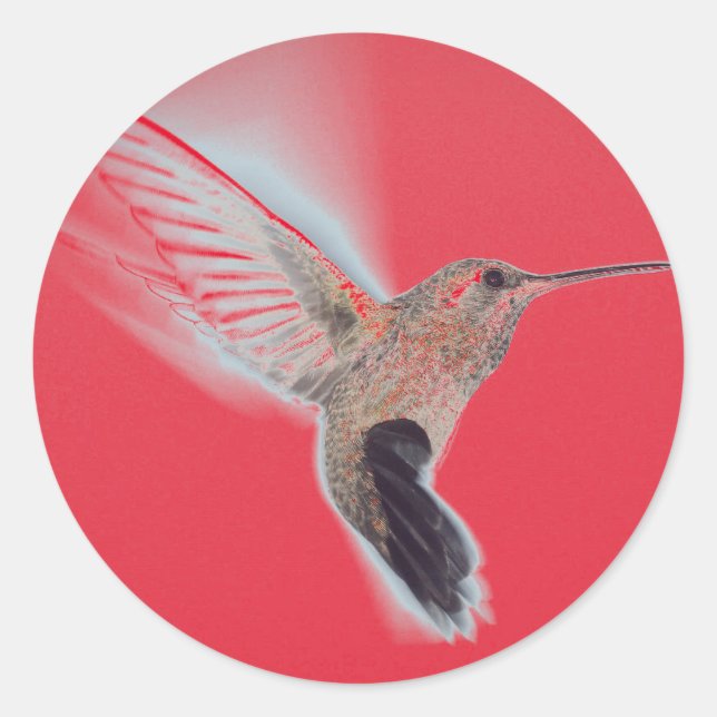 Redonda HUMMINGBIRD RED Pegatina (Anverso)