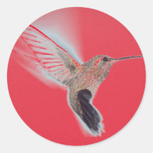 HUMMINGBIRD RED Pegatina