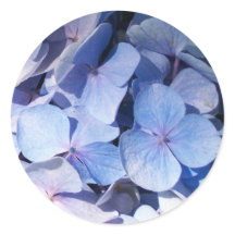 Hydrangea Pegatina