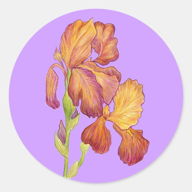 Redonda Iris Pegatina (Anverso)