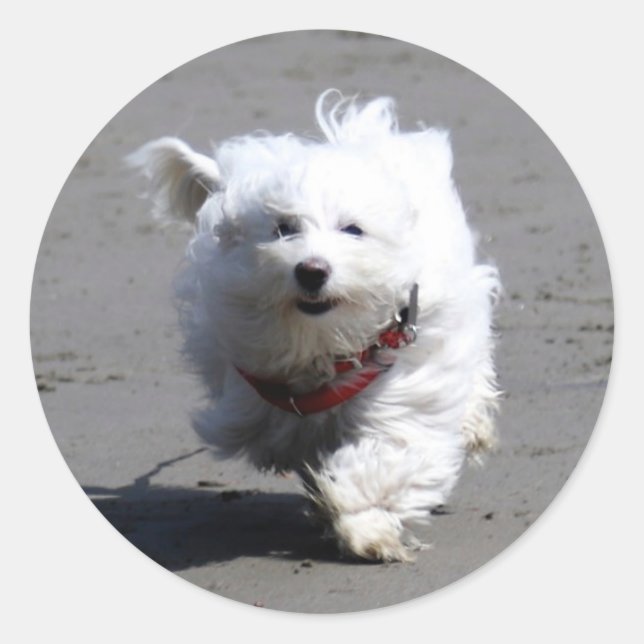 Redonda Jan Pegatina (Anverso)