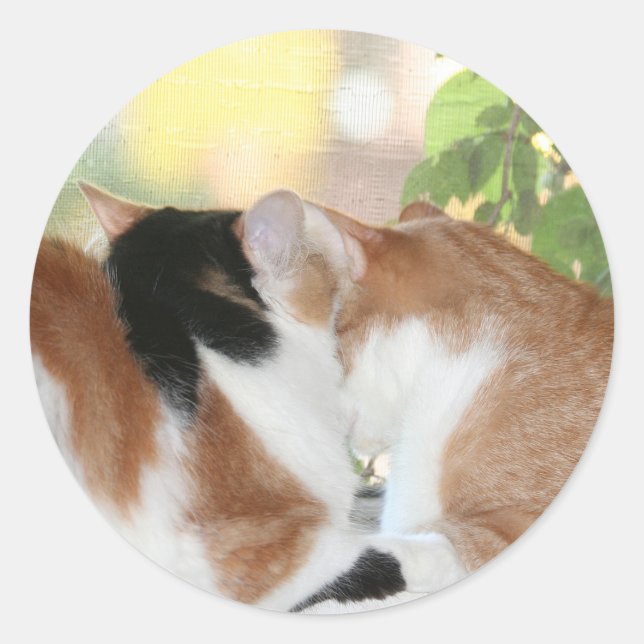 Redonda Kitty love pegatina (Anverso)