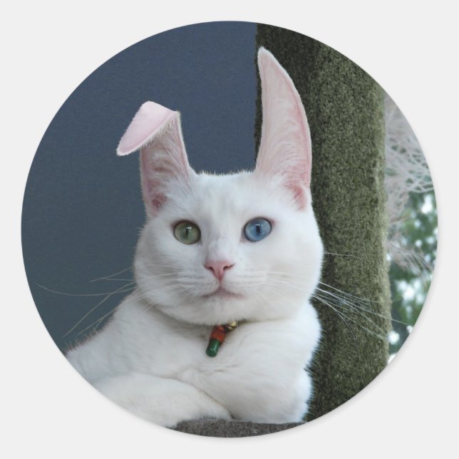 Redonda La serenidad como pegatina conejo (Anverso)