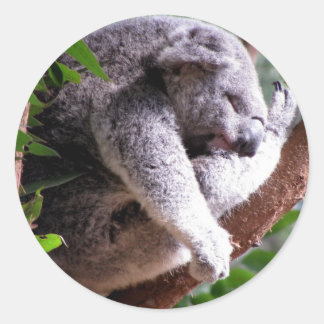 Redonda Lazy Koala Pegatina