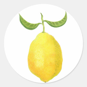 Redonda Lemon Pegatina
