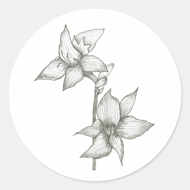 Redonda lily pegatina (Anverso)