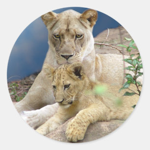 Redonda Lioness y Pegatina de Cub
