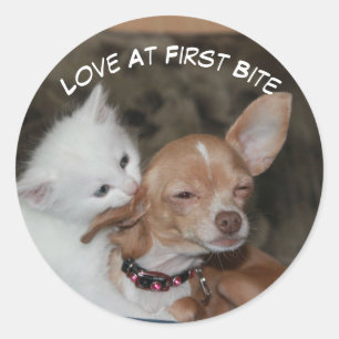 Redonda Love Bite Kitty Y Puppy Pegatina