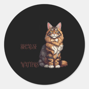 Redonda Maine Coon Cat - Porque Tamaño S Pegatina