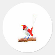 Majestuoso Pájaro Rojo del Paraíso Pegatina - Indo