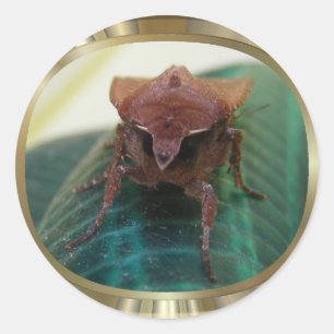 Redonda Malvado Moth 1 ~ pegatina
