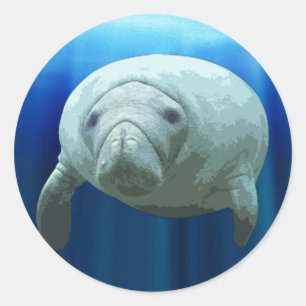 Redonda Manatee Pegatina