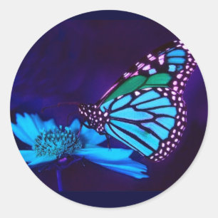 Redonda Mariposa en Pegatina de luz azul