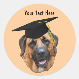 Redonda Mastiff En Graduación Cap Funny Dog Pegatina