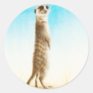Redonda Meerkat Pegatina
