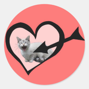 Redonda Meowing Cat Valentine Pegatina