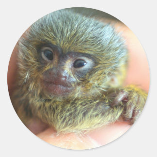 Redonda Mico Pegatina