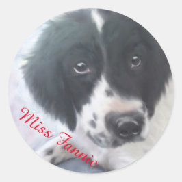 Redonda Miss Fannie - Pegatina española Springer Spaniel
