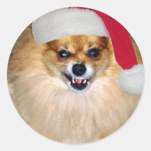 Redonda Mún pegatina de Santa