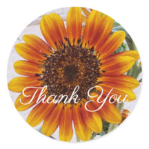 Naranja Girasol Gracias Pegatina