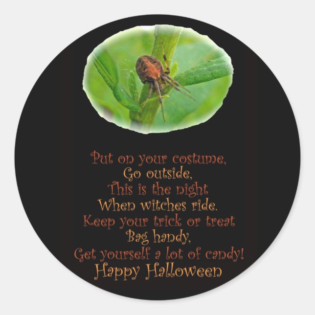 Redonda Naranja marrón Araneus Pegatina de Halloween (Anverso)