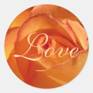 Redonda Naranja Rosa de amor Pegatina