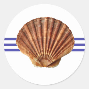 Redonda Nautical Seashell - Pegatina del Círculo