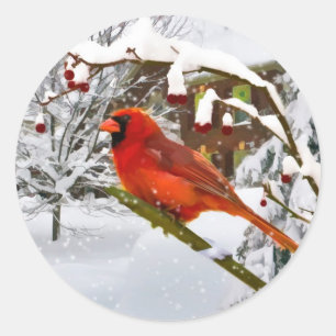 Redonda Navidad, pájaro cardinal, nieve, pegatina