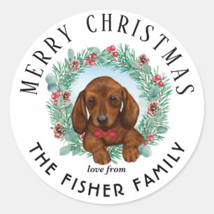 Redonda Navidades Dachshund Perro merry y Pegatina brillan
