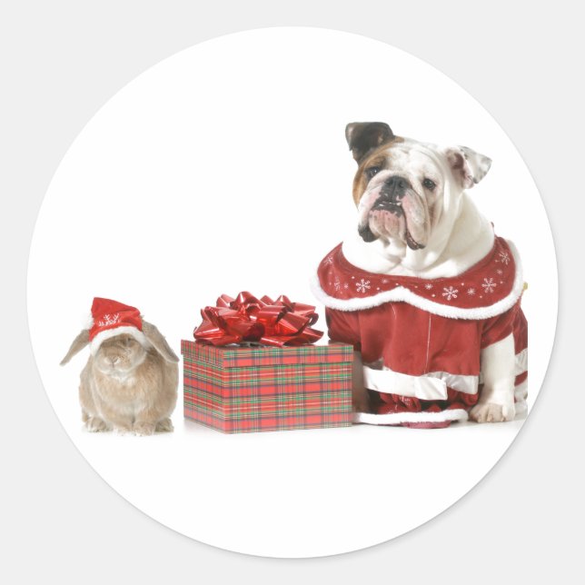 REDONDA NAVIDADES ENVELOPE PEGATINA BULLDOG Y BUNNY (Anverso)